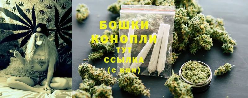 Каннабис SATIVA & INDICA  Куртамыш 